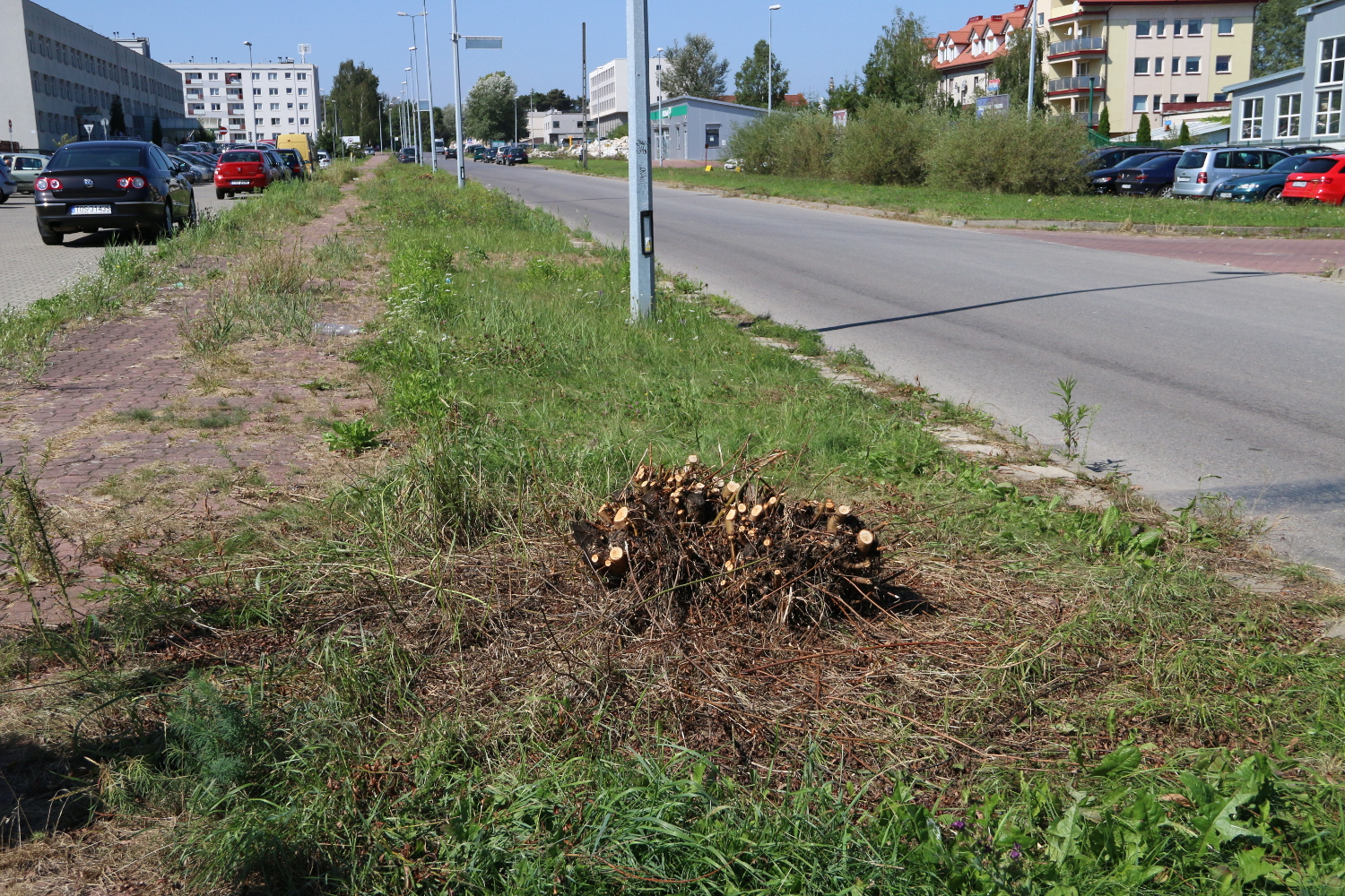 Wycięte krzewy przy PZOZ-ie